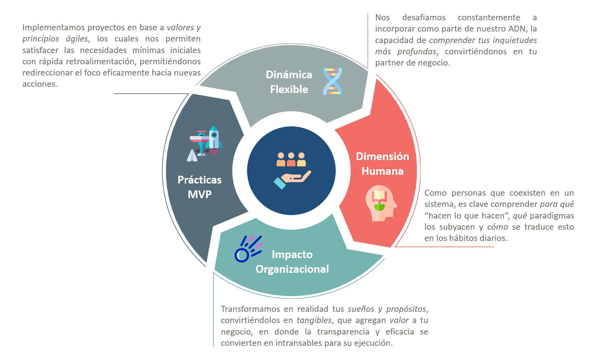 Metodologia